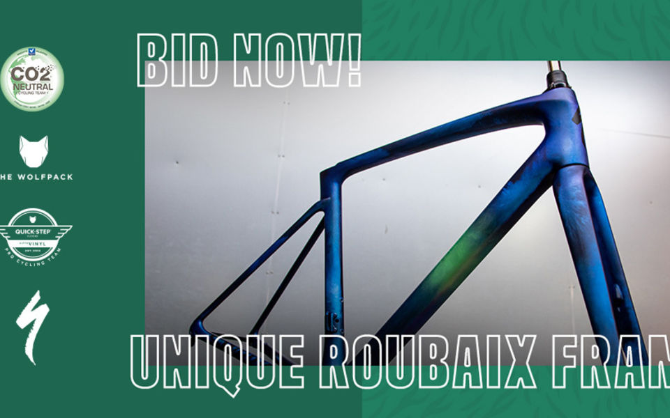 Quick-Step Alpha Vinyl auctions special S-Works Roubaix frame