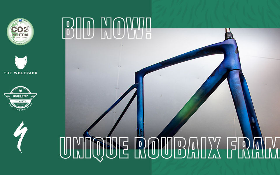 Quick-Step Alpha Vinyl auctions special S-Works Roubaix frame