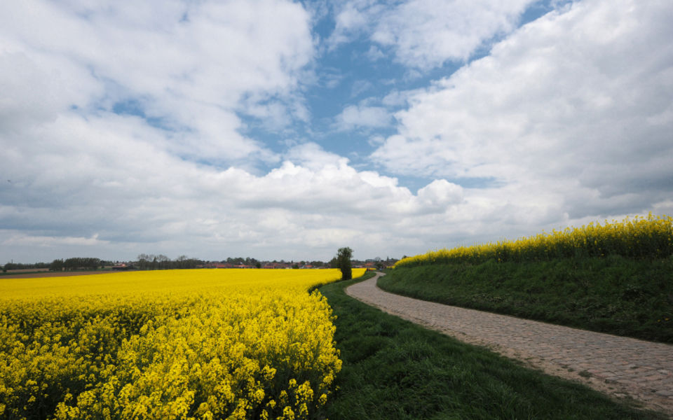 The magic of Paris-Roubaix